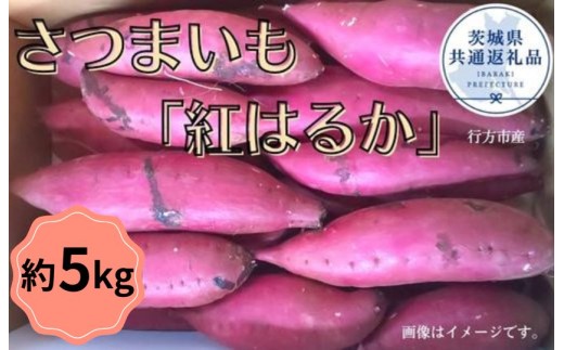 y錧gcszy2025NYz܂ug͂邩v5kgi錧ʕԗi^ssYj