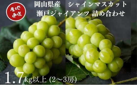 yRʖszI VC}XJbgE˃WCAc 2`3[ v1.8kgȏ l Yn ̂ Ԃǂ  Kawahara Green Farm RY2025N