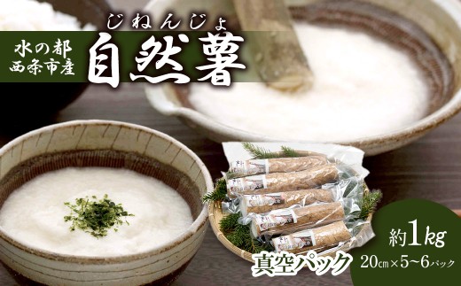 yQszRpbN 1sZbg ^pbN y12{`3zb R  1s ˂񂶂 Ƃ R ܂   N Y Q s yICόz