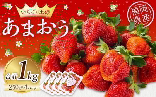 y͎szGreen's ủlvڎwY܂ 250g×4pbN 2 ܂  C`S  t[c ʕ ①   ͎s y2026N2菇\