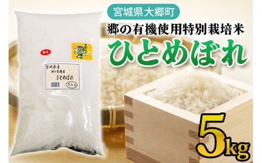 y{錧勽zߘa7NY ̗L@gpʍ͔| ЂƂ߂ڂ 5kgbߘa7NY 2025NY      {Y R V [0253]