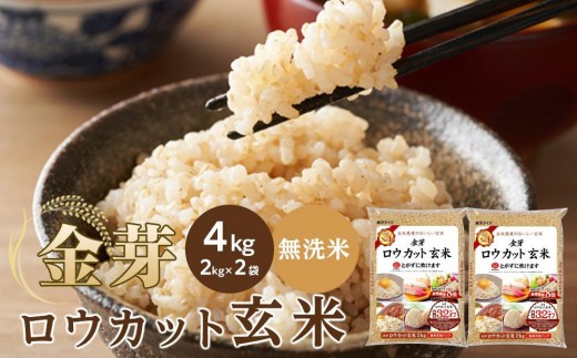 ya̎Ra̎Rszy1z胍EJbg 4kgi2kg×2j