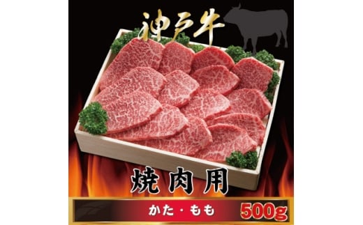 yɌsz_ˋ ēp E 500g AGY2 2026N4菇y1682438z