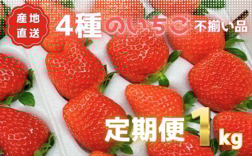 ytPJsz܁`nIysz1000g(1kg)×3