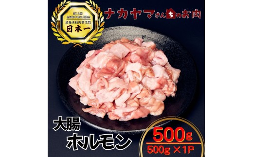 ysz2544 yiJ}񂿂̂z̒R zi咰j500gi500g×1܁j@KN050-021