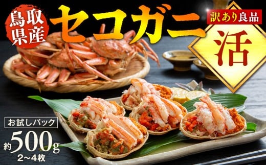 y挧khzyz挧Y@󂠂@ǕiZRKj@pbN@500i2`4js Jj I ZRKjt2025/11/6`2025/12/29ɏ\聦ws  sikC