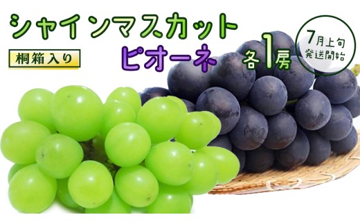 y錧vszy˔z VC}XJbg & sI[l (eP[)y2026N7{Jnz(錧ʕԗiFq) Ԃǂ  }XJbg t[c ʕ p Mtg 蕨