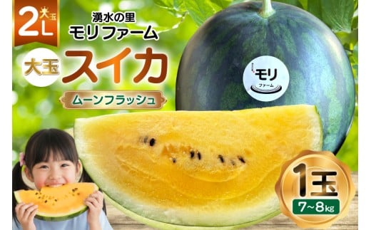 y茧szAJ457 yߘa8Nxoוz N̗ t@[ ʃXCJ [tbV  2L 7`8kg 1 [ s\ ʌ  XCJ Z t[c ʕ  茧 s ]