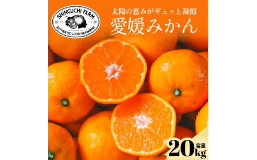 yQlszz̎|݂MbƋÏkQ݂20kg _ƒ QYH70-33y1536301z