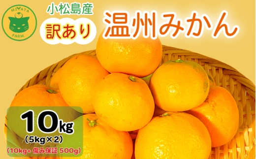 yszy2025N11z 󂠂 ݂ B݂10kgi10kg+ݕۏ500gj ~J  Â t[c k W[X s IXX lC ӂ邳Ɣ[ 5kg 10kg