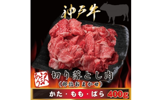 yɌsz󂠂 _ˋ ؂藎Ƃ 400g AGS1 2026N4菇y1682370z