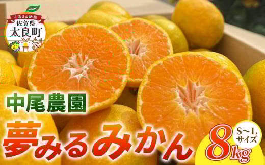 yꌧǒzO-167 _̖݂݂iS-LjWkg ݂݂ B݂  B ݂ ~J  B B~J t[c  ʕ ~lLx ǒ Y 