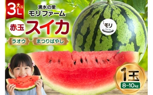 y茧szAJ455 yߘa8Nxoוz N̗ t@[ ԋ XCJ IE ܂΂₵ 3L 8`10kg 1 [ s\ ʌ  XCJ Z t[c ʕ  茧 s