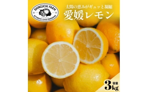 yQlsz܂ŐHׂ遄Q炿̃ 3kg h܁EbNXsgpC70-20y1470687z