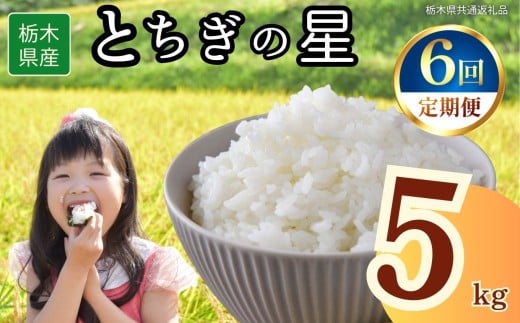 yȖ،szy6zȖ،YƂ̐ 5kg | 2025N 2025N ߘa7N H  ͂   lC  | ɂ ނ ٓ  Ȗ،ʕԗi Ȗ، 