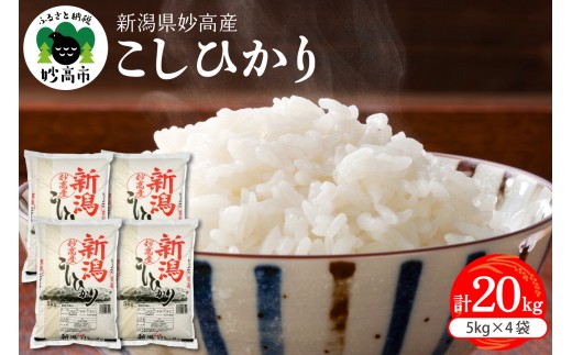 yVszy2026N3{zVYRVqJ 20kg