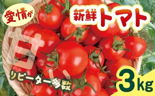 ymczy2025N12蔭zcY ՂVNg}g3kg VN g}g Â {  3kg 3L ̂ꂽ Ė  Mtg ӂ邳Ɣ[ m c  TR-04