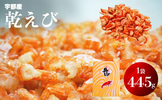 yRFsz (сECV) 445gy Gr CV   Gr CV Ԃ VRԂ CN RY FY ˓CY  ܂  JVE