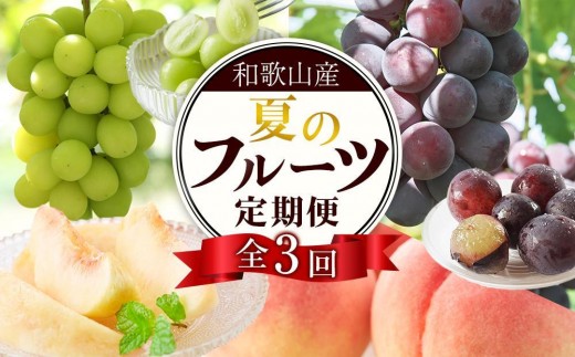 ya̎Ra̎Rsz֑S3 y7E8E9z a̎R̃t[c͂iE˂ȂsI[lEVC}XJbgjyTM180z