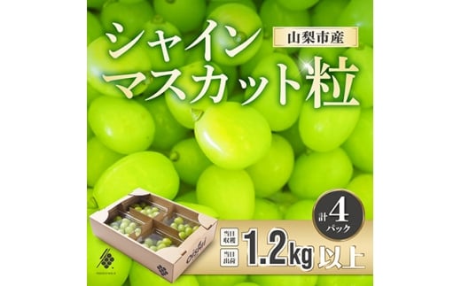 yRRszst2026N VC}XJbg  1.2kg 󂠂聄Ԃǂ Jbgy1568100z