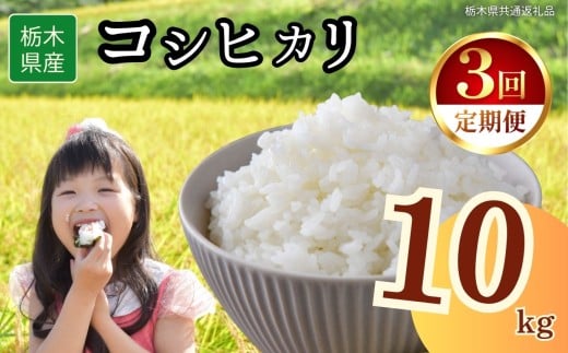 yȖ،szy3zȖ،YRVqJ 10kg | 2025N 2025N ߘa7N H  ͂   lC  | ɂ ނ ٓ  Ȗ،ʕԗi Ȗ،