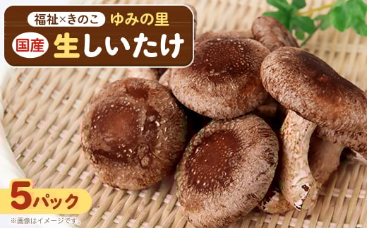 ytَRsz_AgtَRY 110g×5pbN AJpxA/B^pƏu݂̗vy1486687z