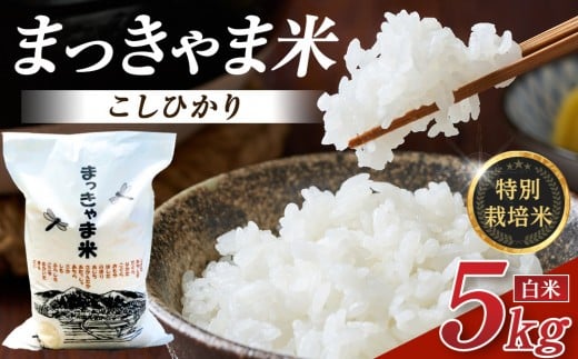 yΐ쌧sz ߘa7NY y ʍ͔| z ΐ쌧Y Ђ Ic  5kg@s    Hi  RVqJ ӂ邳Ɣ[ Ēʔ  Y uh { V