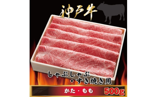 yɌsz_ˋ ԂԁEĂp 500g AGS2 2026N4菇y1682436z