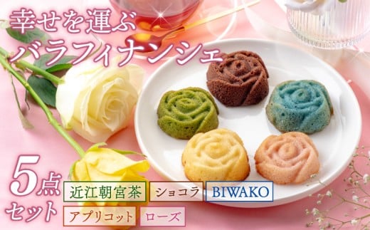 yꌧFszo tBiVF 5 K^ԃotBiVF Zbg  [Y AvRbg VR ߍ]{ BIWAKO  5 5Zbg Ăَq َq َq mَq o^t