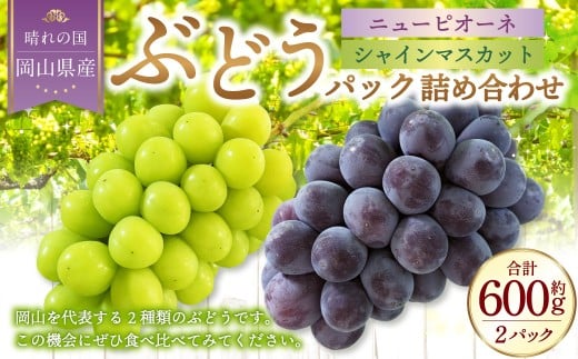 yR璬zRY ԂǂpbNl 22pbNZbg i j[sI[l E VC}XJbg jy2026N9{`10{\z ^ Ԃǂ uhE  Ȃ 햳