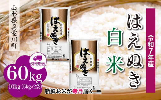 yR`^쒬zߘa7NYā ͂ʂ yāz  60kg i10kg×1Ԋu6񂨓͂jzw@R`^쒬