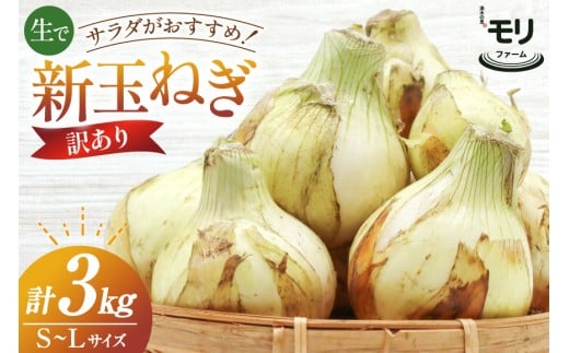 y茧szAJ113 y󂠂z N̗ t@[ Vʂ˂ 3kg s (S`LTCY) [ V܂˂ V ʂ˂ ܂˂ ^}lM ʂ˂ T_  ӂ낢 A X