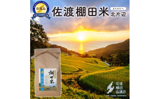 yVnsznYRVqJ kЕӒIc 4Kgi2Kg×2܁jyߘa7NYz