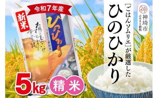 yꌧ_szyߘa7NY Vāz͂\GI  Ђ̂Ђ 5kgy_sY     5kg Ђ̂Ђ uh HӒmz(H063150)