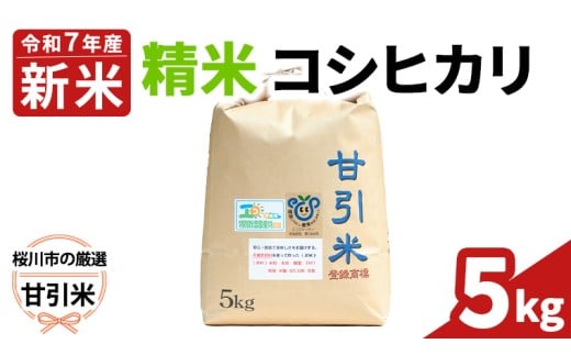 y錧szߘa7NY s IÈ RVqJ  5kg  sY RVqJ Ђ   R 錧 ΂炫 L@엿 [BA004sa]