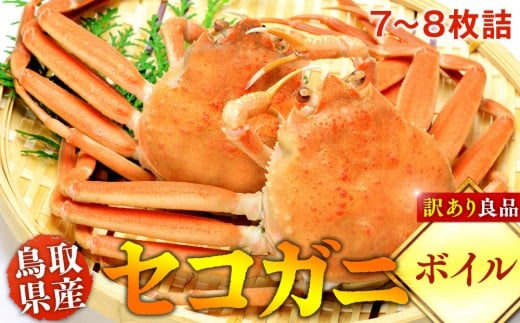 y挧khzy{Cz挧YZRKj@󂠂@Ǖi7~8ls Jj I ZRKjt2025/11/6`2025/12/25ɏ\聦ws  sikCA{͔z\j