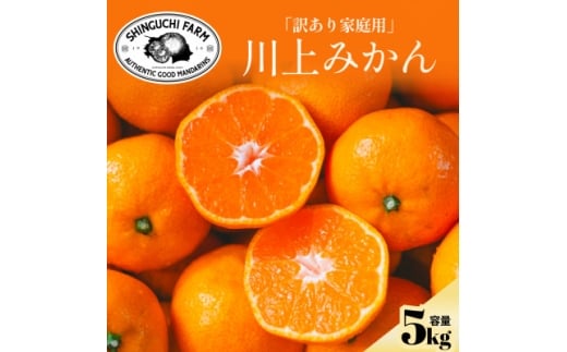 yQlszVct܎Yn݂5kg󂠂聄QlsC70-37y1536340z