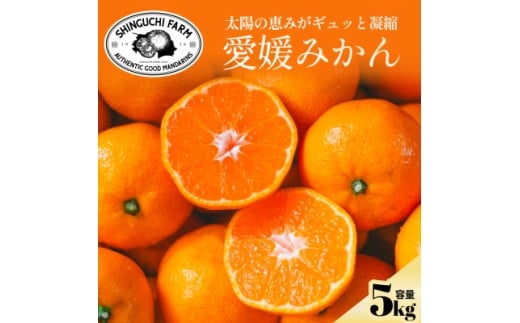 yQlszz̎|݂MbƋÏkQ݂5kgʁ_ƒ QYC70-4y1440740z