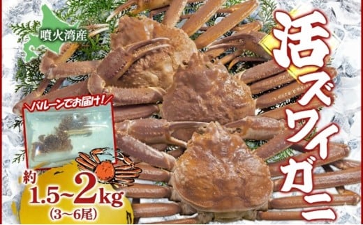 ykCΒzkC ΘpY YCKj 1.5`2kgi3`6j2026N31`4܂Ŕ kCY { VN 킢 YCKj  Jj I JjX VR Θp Yn 