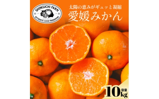 yQlszžb݂MbƋÏkQ݂10kgʁ_ƒ QYF70-5y1440741z