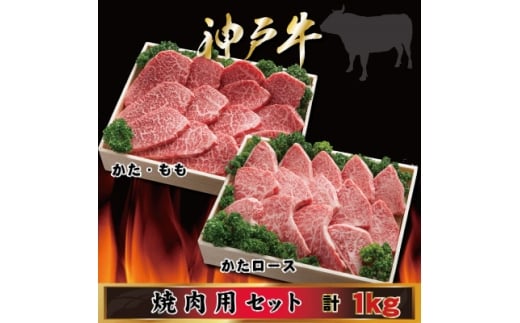 yɌsz_ˋ ēpZbg v1Kg AGYS5 2026N4菇y1682470z