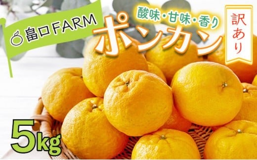 ymmzys\z󂠂|J5kg@HT11