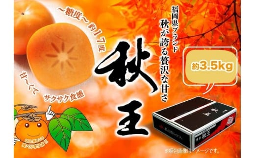 ysz2026NEs\񁄏H@3,5kg