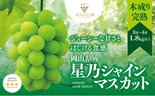 yRÎRsz2026NTVC}XJbg(RY) 3`4[(1.8kgȏ)_ Ԃǂ  VC}XJbg ʕ  t[c R ÎRs lC    M