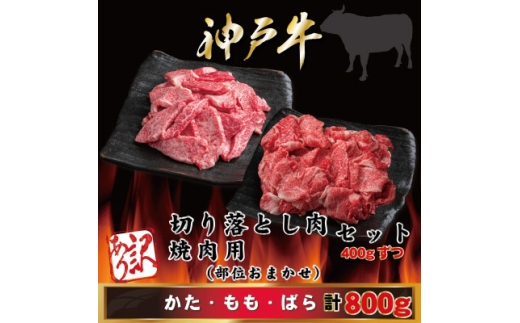 yɌsz󂠂 _ˋ ؂藎ƂEēp v800g AGSY2 2026N4菇y1682402z