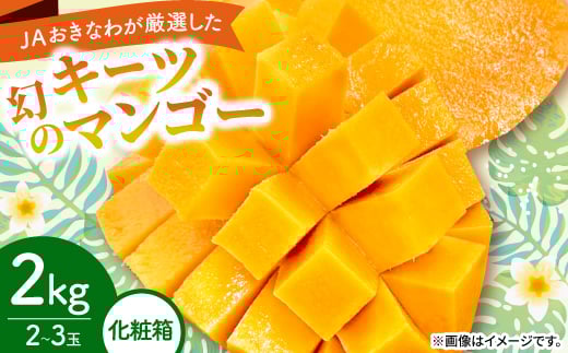 yꌧ鑺z2026N8珇EϔJAȂ팵ĨL[c}S[2kg(2`3)y1681785z