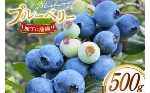 y茧ˎszu[x[ Ⓚ 250g 2pbN v 500g [u[x[ moon berry's kitchen 茧 ˎs hr42bhb500000] n fU[g XC[c X[W[ 