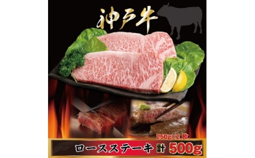 yɌsz_ˋ [XXe[L 250g×2 v500g AGST5 2026N4菇y1682464z