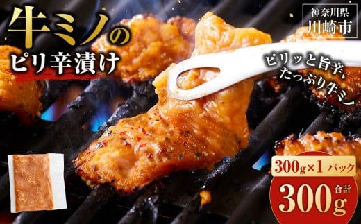 y_ސ쌧sz~m shЂ 300g ( 300g × 1pbN ) yz  ֗  z ~m ē Ă   Ă Ⓚ  t BBQ AEghA Lv l