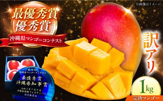 マンゴー 【2026年発送 先行予約】 完熟アップルマンゴー 訳あり 1kg